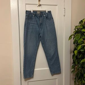 Everlane curvy cheeky jean size 14